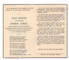 MARIA CRIEL ° SINAAI 1885 + ZAFFELARE 1957 - Imágenes Religiosas