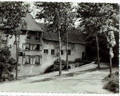 Woluwe Saint Lambert  Moulin Lindekemale - Woluwe-St-Lambert - St-Lambrechts-Woluwe