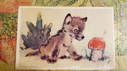 WOLF AND LITTLE RED RIDING HOOD -  Mushroom - Old Postcard - - Champignon 1970 GAMBURGER - Champignons
