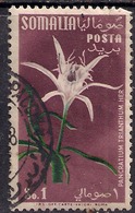 Somalia 1955 1s Flowers Used  SG 289 ( E1062 ) - Somaliland (Herrschaft ...-1959)