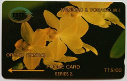 Trinidad And Tobago 6CTTD  TT$100 " Orchid " - Trinidad En Tobago