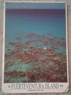 Spagna - The Fuerteventura Islands - Photograph Tullio Gatti 1992 Formato 17 X 12 - Fuerteventura