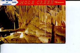 (Booklet 72) Postcard Booklet -  (mint / Neuf) - TAS - Mole Creek Caves - Wilderness