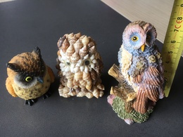 3 CHOUETTES Taille Moyenne Entre 5 Et 7 Cm - Animales