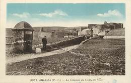 RB - Editeur Riviere Bureau -ref A425-pyrenees Orientales -salces -salces- Chemin Du Chateau Fort   -carte Bon Etat   - - Salses