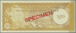 02050 Netherlands Antilles / Niederländische Antillen: 250 Gulden 1962 Specimen P. 6s With 012345 Serial N - Niederländische Antillen (...-1986)