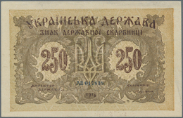 02568 Ukraina / Ukraine: 250 Karbovantsiv 1918 With Small Letters, P.39b In Excellent Condition With A Ver - Ucrania