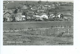 Compogne Bertogne Panorama - Bertogne