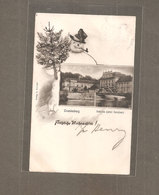 ORANIENBURG SCHLOSS Schneemann CARTOLINA VIAGGIATA 1903 - Oranienburg