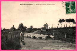 Noyelles Sur Mer - Moutons Rentrant Des Prés Salés - Bergère - Animée - Ed. De HOTEL DES VOYAGEURS - 1918 - Noyelles-sur-Mer
