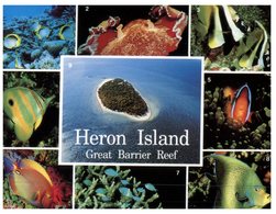 (341) Australia - QLD - Heron Island - Great Barrier Reef