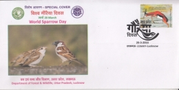 India  2016  Sparrow  Birds  Special Cover   #  10465   D  Inde Indien - Sparrows