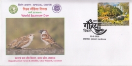 India  2016  Sparrow  Birds  Special Cover   #  10467   D  Inde Indien - Sparrows