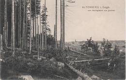 AK Altenberg Erzgebirge Aschegraben Baumbruch Sturm A Rehefeld Zinnwald Schellerhau Oberbärenburg Bärenfels Holzhau - Altenberg