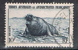 T.A.A.F. N°6 Mammifère Marin - Used Stamps