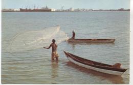 DJIBOUTI  PECHE A L EPERVIER  1973 - Djibouti