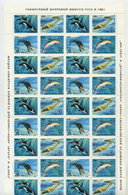 SOVIET UNION 1990 Marine Mammals Complete Sheet With 10 Blocks Of 4 MNH / **.  Michel 61830-33 - Fogli Completi