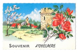 OXELAERE (59) Carte Illustrée Souvenir 1973 - Andere & Zonder Classificatie