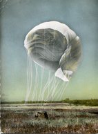 PARACHUTISME - Parachutting