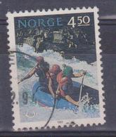 Norvegia - Rafting - Rafting