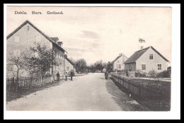 DD2924  SWEDEN  DAHLA. BURS. GOTLAND  POSTCARD - Sweden