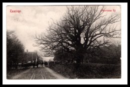 DD2914  DENMARK  SVENDBORG TAASINGE  AMBROSIUS EG   POSTCARD - Denemarken