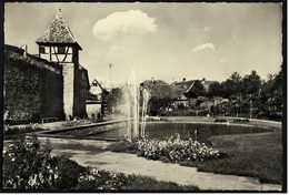 Michelstadt  -  Stadtgarten / Stadtmauer  -  Ansichtskarte Ca. 1960    (8564) - Michelstadt