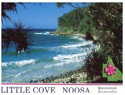 (140) Australia - QLD -  Noosa Little Cove - Sunshine Coast