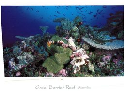 (135) Australia - QLD - Great Barrier Reef (with Olympic Stamp At Back Of Card) - Great Barrier Reef