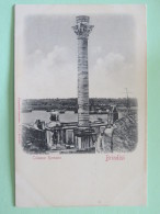 Italy Around 1920 Unused Postcard - Brindisi - Roman Column - Unclassified