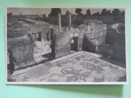 Italy Around 1920 Unused Postcard - Ostia - Sala Delle Terme - Archaeology - Unclassified