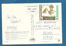 EGYPT 1981 - Storia Postale