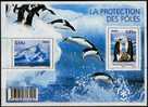 France 2009 - La Protection Des Pôles Feuillet ** - Préservation Des Régions Polaires & Glaciers