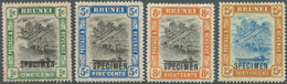 05015 Brunei: 1907, 'Huts And Canoe' Four Different Stamps With Black SPECIMEN Opt. Incl. The 1c. With Rev - Brunei (1984-...)