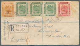 05117 Brunei - Stempel: TEMBURONG (type D3): 1924 (6.1.), Registered Cover Bearing 14 `bush Huts And Canoe - Brunei (1984-...)