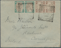 05557 Malaiischer Staatenbund: 1903 (28.12.), Tiger Stamps 1c. Grey/green And 3c. Grey-brown/brown Both In - Federated Malay States