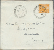 06112 Malaiische Staaten - Negri Sembilan: 1920/1924, REMBAU: Two Covers Bearing FMS Tiger Stamps 6c. Oran - Negri Sembilan