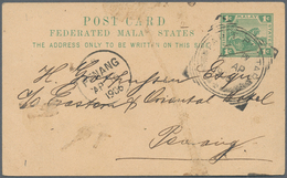 06524 Malaiische Staaten - Perak: 1900/1906, PARIT BUNTAR: Tiger Head 2c. Purple/brown And 1c. Purple/gree - Perak