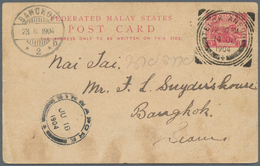 06549 Malaiische Staaten - Perak: 1904 (14.6.), Federated Malay States Stat. Postcard Tiger 3c. Carmine Co - Perak