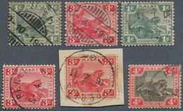 06830 Malaiische Staaten - Perlis: 1909-12, Six Stamps Of Fed. Malay States Used At Kangar P.O. In Perlis, - Perlis
