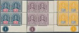 06899 Malaiische Staaten - Sarawak: 1918, Sir Charles Vyner Brooke Six Different Values In Blocks Of Four - Sonstige & Ohne Zuordnung