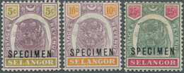 07047 Malaiische Staaten - Selangor: 1895/1896, Tiger Heads 5c. Purple/olive-yellow, 10c. Purple/orange An - Selangor