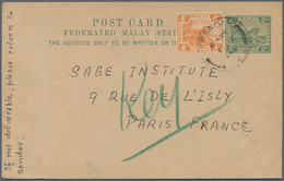 07143 Malaiische Staaten - Selangor: 1931, SERENDAH: Federated Malay States Stat. Postcard Tiger 2c. Green - Selangor