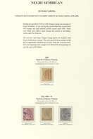 07411 Malaiische Staaten - Sungei Ujong: 1892/1891 (ca.), STRAITS SETTLEMENTS USED IN SUNGEI UJONG: QV 8c. - Altri & Non Classificati