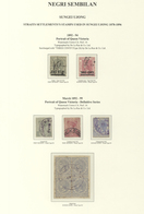 07412 Malaiische Staaten - Sungei Ujong: 1892/1899 (ca.), STRAITS SETTLEMENTS USED IN SUNGEI UJONG: Five S - Altri & Non Classificati