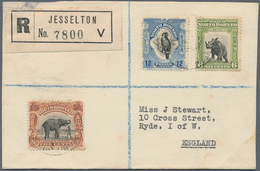 07558 Nordborneo: 1937 (17.8.), Pictorial Definitives 12c. Palm, Cockatoo, 6c. Sumatran Rhinoceros And 5c. - Bornéo Du Nord (...-1963)