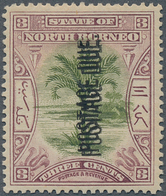 07583 Nordborneo - Portomarken: 1902, Sago Palm 3c Green And Dull Mauve With DOUBLE Vertical Local Opt. PO - Nordborneo (...-1963)