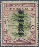 07583 Nordborneo - Portomarken: 1902, Sago Palm 3c Green And Dull Mauve With DOUBLE Vertical Local Opt. PO - Borneo Del Nord (...-1963)