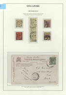 07612 Singapur: 1908, ORCHARD ROAD: Straits Settlements KEVII 1c. Green Single Use On Picture Postcard At - Singapour (...-1959)