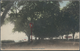 07620 Singapur: 1917, 3 C Scarlet KGV, Single Franking On Ppc "Esplanade" With Cds SEA VIEW HOTEL / SINGAP - Singapore (...-1959)